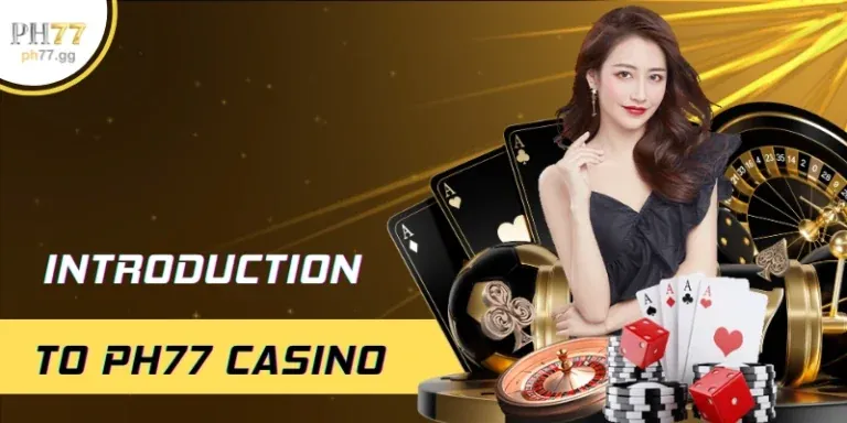 Tổng quan Chính Sách Cookie
